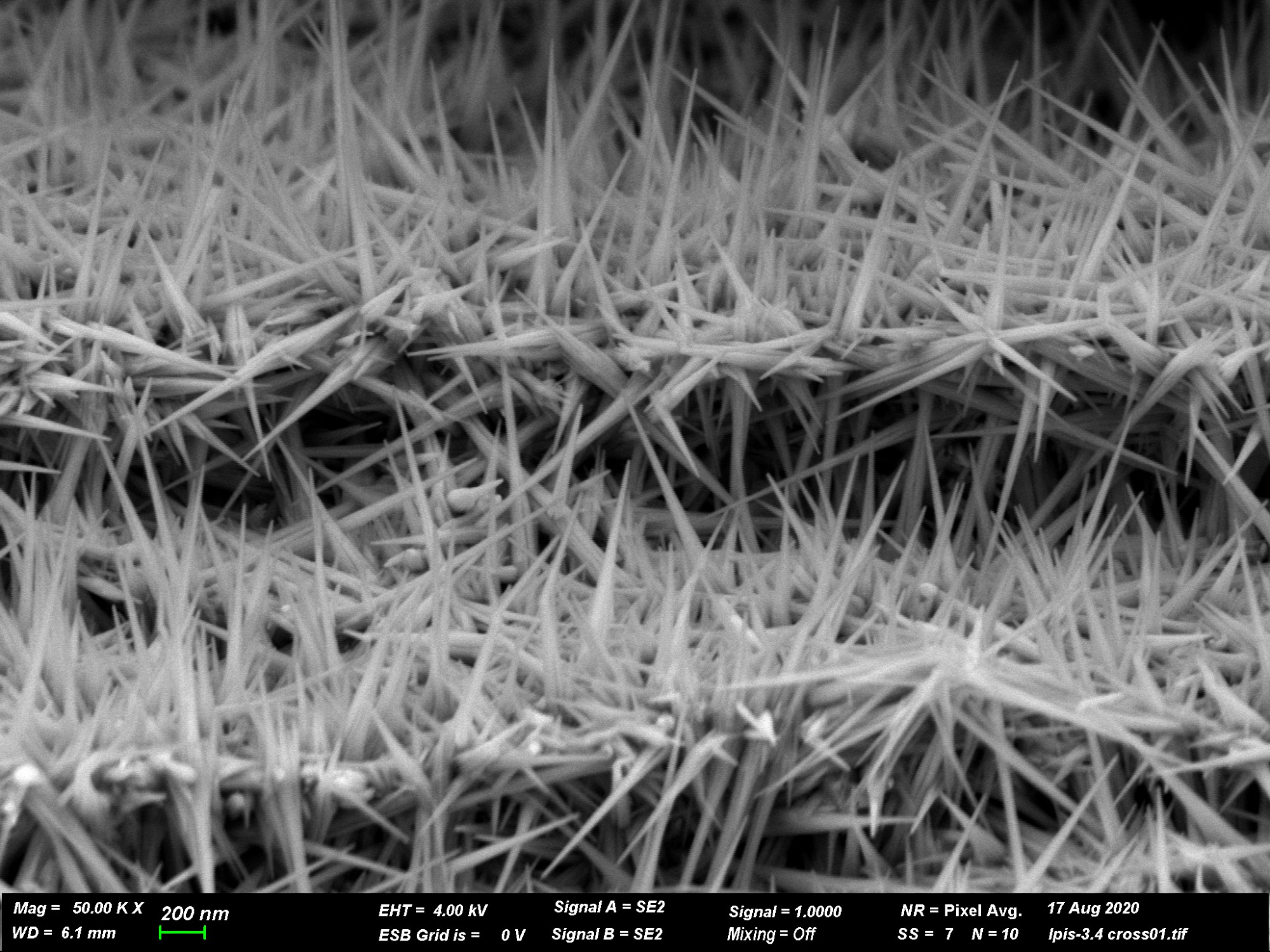 Defects in Gold as a Template for Nanowire Growth