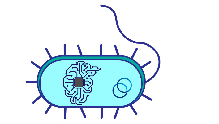 Designing and Programming Living Computers