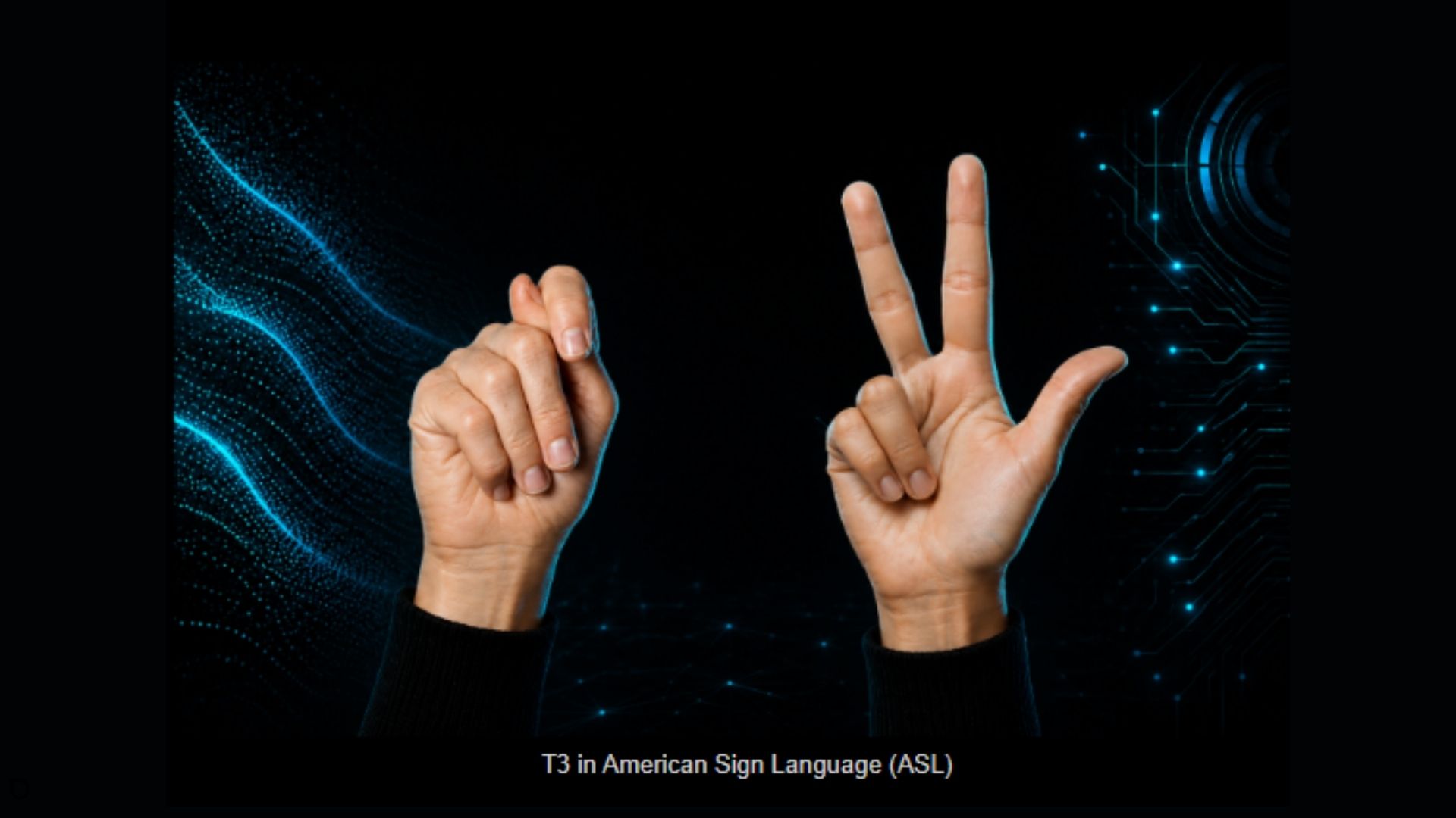 The Language of Innovation